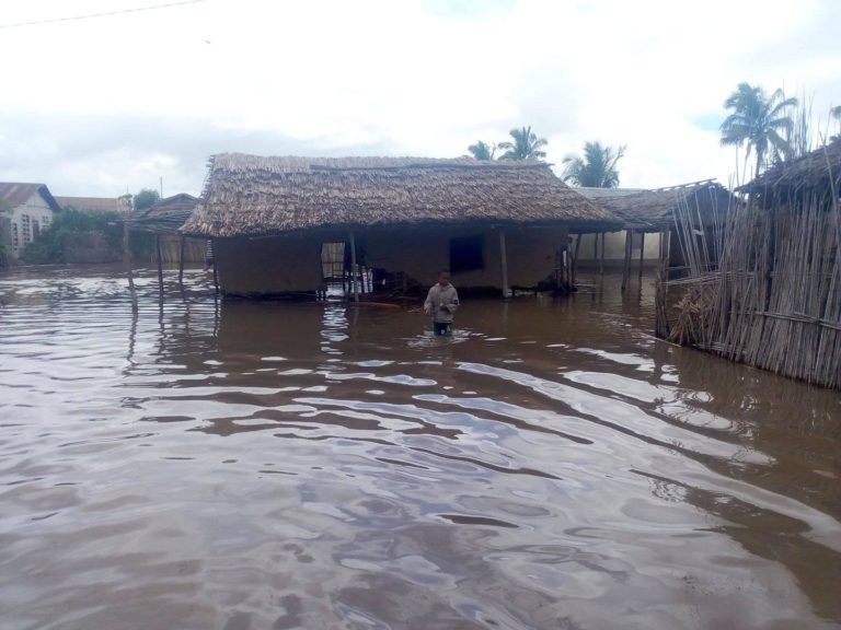 52550193_2178593755789839_2145627861350875136_o