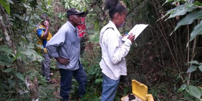 SEV-Elig-Ebode-1024×576