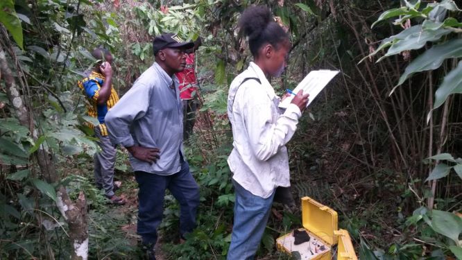 SEV-Elig-Ebode-1024×576