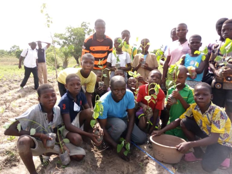 WhatsApp Image 2020-06-23 at 14.28.06 Esho Ko Yia plantation arbre