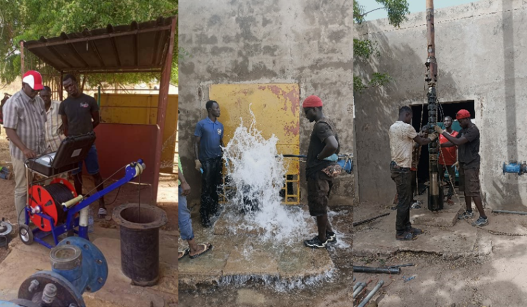 Mission forage Némataba