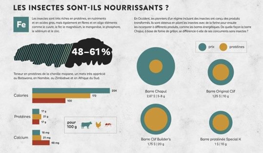 insectes nourissants