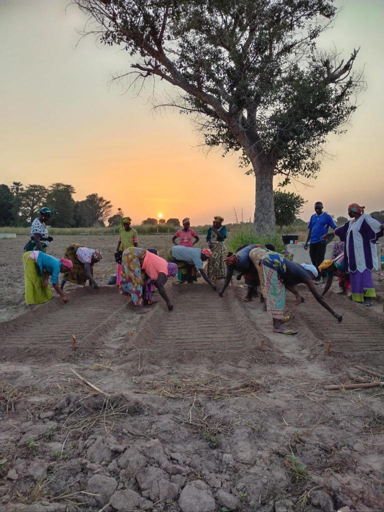 maraichage formation ancar